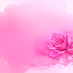 This watercolor painting features a single pink rose on a solid pink background. raspberry rose tone