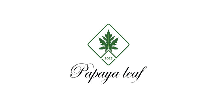 Creative papaya leaf design template with modern concept| premium vector