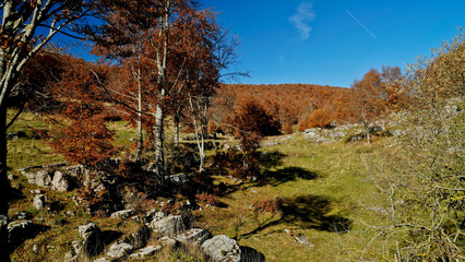 Altopiano di Lessinia. Panorama autunnale sui pascoli e le malghe. Provincia di Verona.Veneto, Italia