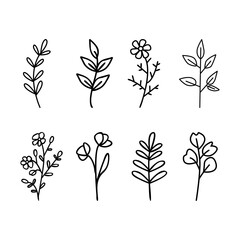 Doodle floral graphic elements. Hand drawn vector botanical flowers,  plants and branches illustrations on white background