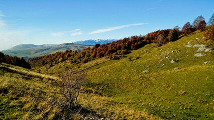 Altopiano di Lessinia. Panorama autunnale sui pascoli e le malghe. Provincia di Verona.Veneto, Italia