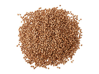 buckwheat grains isolated on white background