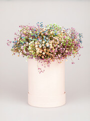 bouquet of gypsophila of different colors isolated on white
