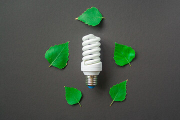 Light bulb with green leaves on black background. Green Energy Concepts creative. Eco LED Lamp, environment sustainable. Sustainable Resources, Renewable and Environmental Care.