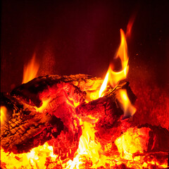 flames of a burning fire with coals glowing with heat