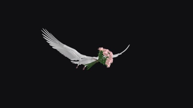 White Dove Bird with Pink Rose Bouquet - Flying Loop - Side Angel View CU - Alpha Channel - Artistic realistic 3D animation isolated on transparent background