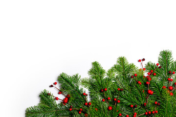 Fir branches on white