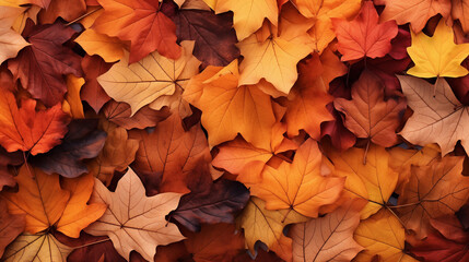 Naklejka na ściany i meble Autumn Leaves Falling