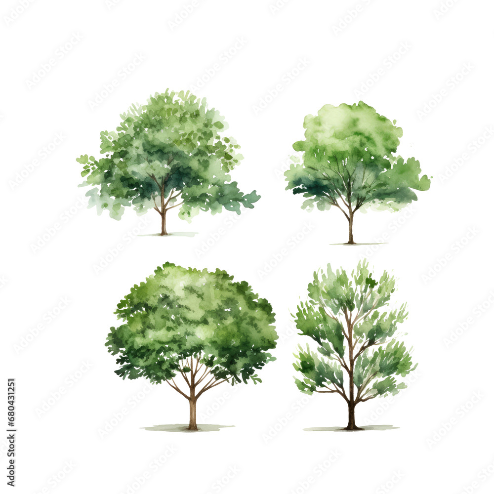 Wall mural tree watercolor clipart crop picture use set of hand drawn trees. forest tree pack isolated transpar