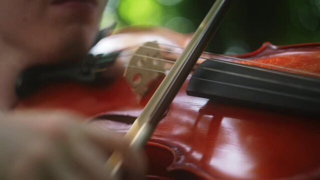 Musician moves to bow over strings of violin creating harmonious music, close-up