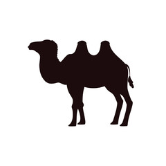 Black silhouette of camel desert animal flat style, vector illustration