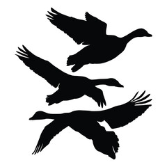 silhouette of a Flying Geese on white