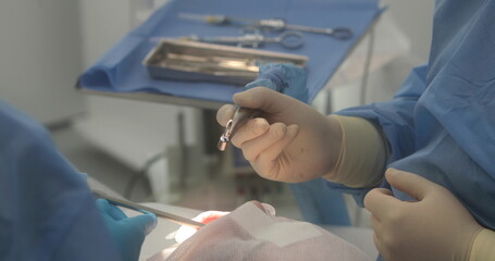 Dental treatment close-up. A dentist performs a dental procedure. Dentist's hands at work. Oral cavity in the process of treatment at the dentist. - obrazy, fototapety, plakaty