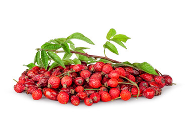 Rose hip fruits isolated on a white background.