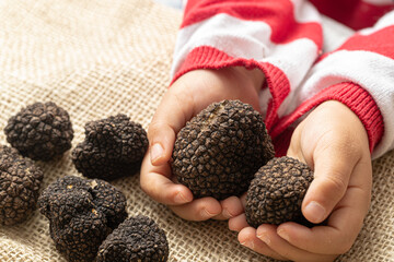 Little Hands, Big Flavors: Black Truffle Discovery