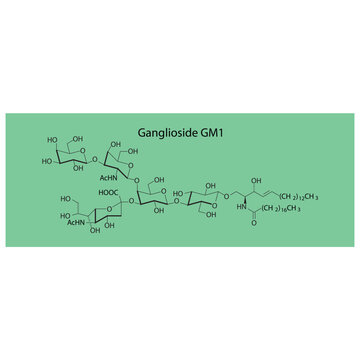 Molecular structure diagram of Ganglioside GM1 - monosialotetrahexosylganglioside green Scientific vector illustration.