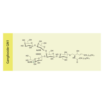 Molecular structure diagram of Ganglioside GM1 - monosialotetrahexosylganglioside yellow Scientific vector illustration.