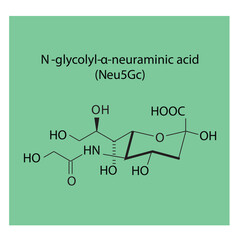 Molecular structure diagram of N-glycolyl-α-neuraminic acid (Neu5Gc) - a sialic acid. green Scientific vector illustration.