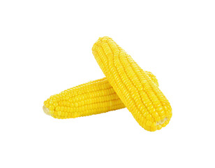 corn transparent png