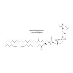 Diagram showing schematic molecular structure of Phosphatidylinositol 4,5-bisphosphate  Scientific vector illustration.