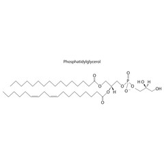 Diagram showing schematic molecular structure of Phosphatidylglycerol  Scientific vector illustration.