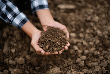 Hands of the gardeners are grabbing the soil to plant the trees..