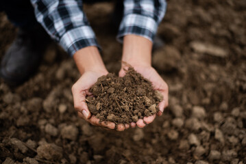 Hands of the gardeners are grabbing the soil to plant the trees..