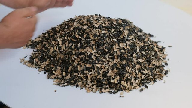 Close-up of a man's hands raking seed husks into a pile.