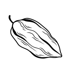 Monochrome Line Art Whole Cocoa Pod Vector Illustration