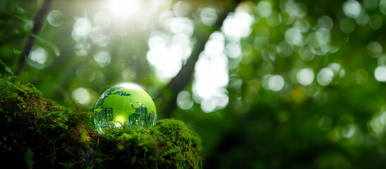 Crystal globe placed on moss ESG concept for environment Society and Governance Sustainable global...