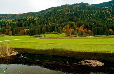 Foliage nell'area archeologica di Flav&egrave;, Doss torbiera. Trento, Trentino Alto Adige. Italia