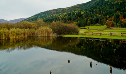 Foliage nell'area archeologica di Flavè, Doss torbiera. Trento, Trentino Alto Adige. Italia