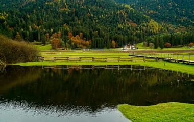 Foliage nell'area archeologica di Flavè, Doss torbiera. Trento, Trentino Alto Adige. Italia