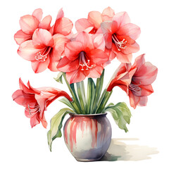 Amaryllis, Flowers, Watercolor illustrations - obrazy, fototapety, plakaty