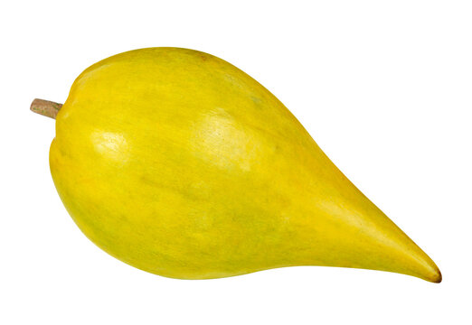 Egg fruit, Canistel, Yellow Sapote (Pouteria campechiana (Kunth) Baehni) transparent png
