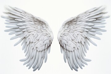 Wings Of Angel On White Background. Сoncept Sunset Silhouette, Nature Macro Photography, Urban Street Art, Food Styling, Adventure Travel