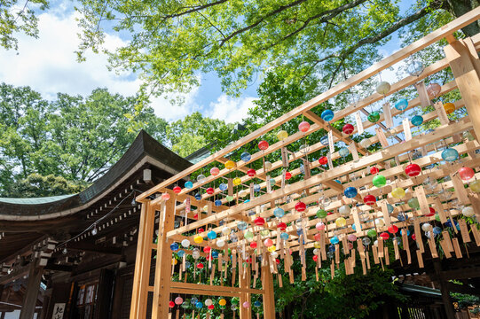 風鈴のトンネル（川越氷川神社 縁むすび風鈴）