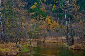 Fototapeta na wymiar Tashiro pond surrounded by woods mountains, this placid lake area features hiking, boating scenic lookouts.destination, clear water with colorful trees in late autumn season in Kamikochi ,Japan