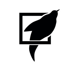 vector logo illustration design, bird in window, template design, isolated