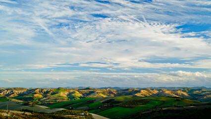 Foliage d'autunno nei vitigni delle colline bolognesi. Bologna, Emilia Romagna. Italia