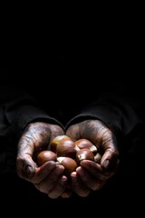 4K Image: Close-Up of Chestnut in Farmer's Hand