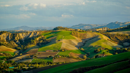 Fototapeta premium Foliage d'autunno nei vitigni delle colline bolognesi. Bologna, Emilia Romagna. Italia