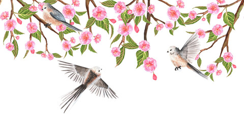 Hand-drawn watercolor illustration. Floral seamless border with sakura flowers, buds, leaves and long-tailed tits