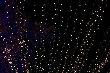 fairy lights at christmas at night