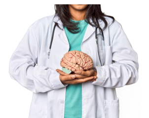 Young Filipina doctor holding a brain model in studio