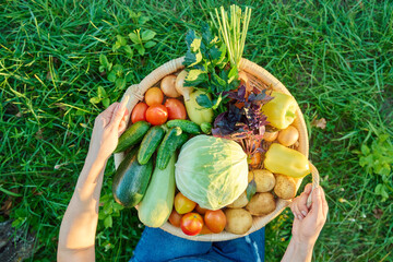 Top view vegetable in basket, woman hands with vegetables