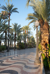 Alley Esplanada in the city center of Alicante Spain 