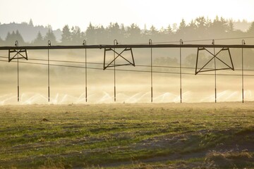 4K Image: Efficient Irrigation System on Vast Farmland - Advanced Agricultural Watering Technology