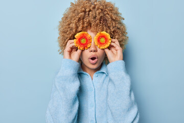 People and emotions concept. Indoor photo of young surprised African american female standing in centre isolated on blue background holding gerbera flowers closing eyes with them wearing wool cardigan