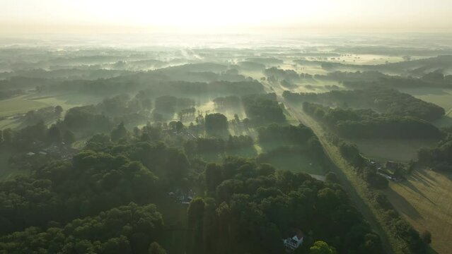 foggy september morning over a rural landscape in the netherlands